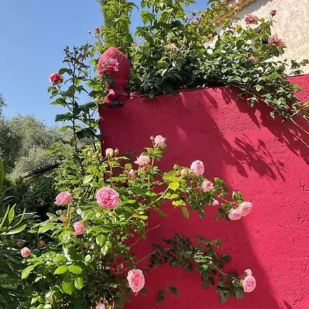 Mas De Provence En Riviera Gasthof