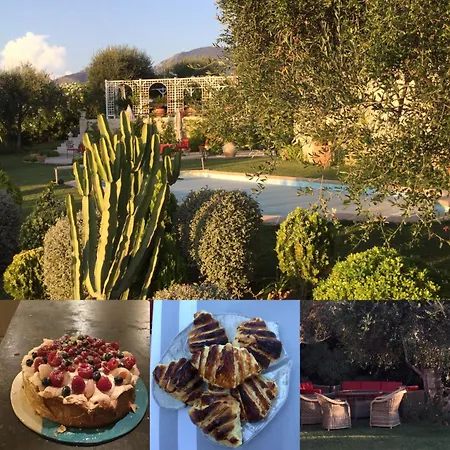 Mas De Provence En Riviera Gasthof La Roquette-sur-Var